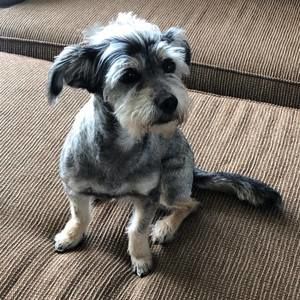 Meet your Posher, Daniela